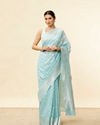 Aquamarine Blue Leaf Patterned Zari Work Saree